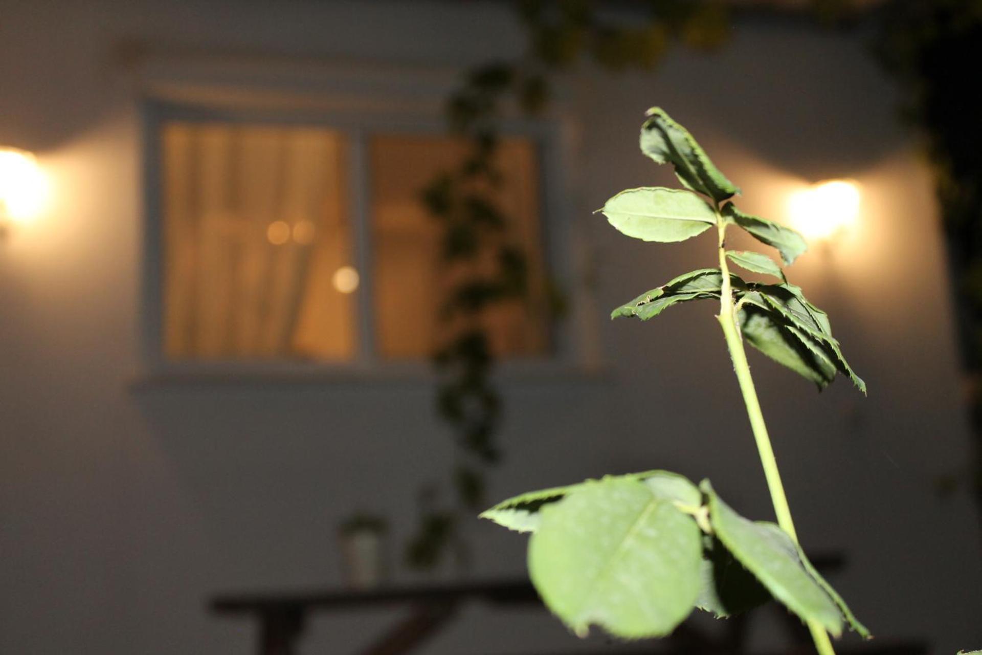 Ηώς Apartment Thassos Buitenkant foto